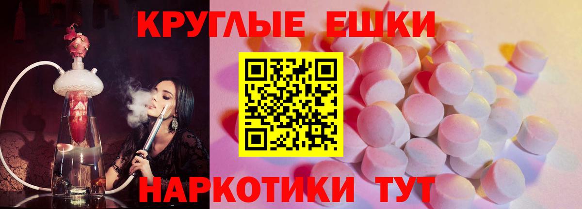 Ecstasy Philipp Plein Мыски