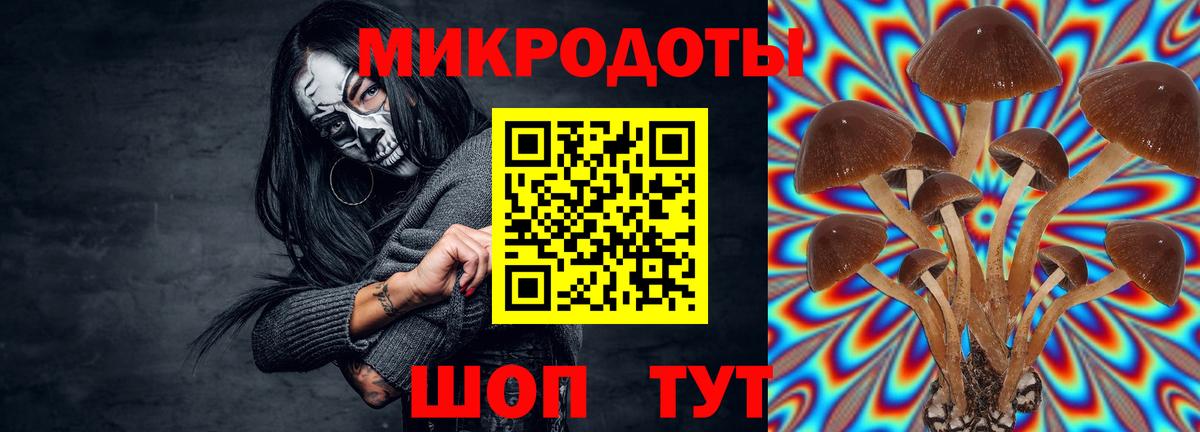 Псилоцибиновые грибы Psilocybine cubensis Мыски
